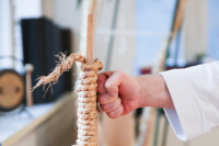 Violett- und Braungurt-Training